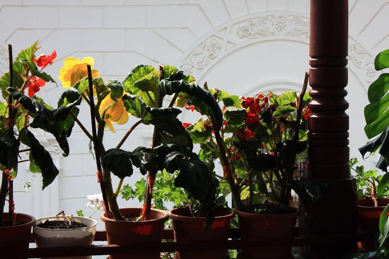 321-Monastero di Agapia,9 agosto 2011.JPG